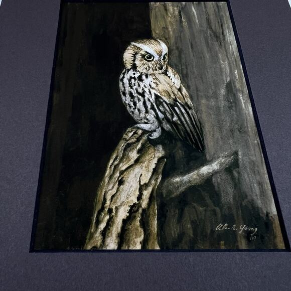 Vintage Owl Art Print Alan R Young Signed 2009 Wildlife Rustic Décor Matted 8x10 - Picture 4 of 6